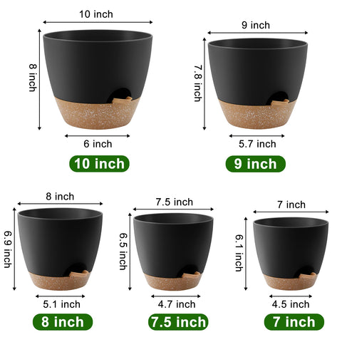 QRRICA 8-inch pot with drainage holes protects roots and drains.