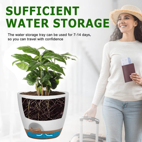 QRRICA planter saucers with a removable reservoir for tidy watering