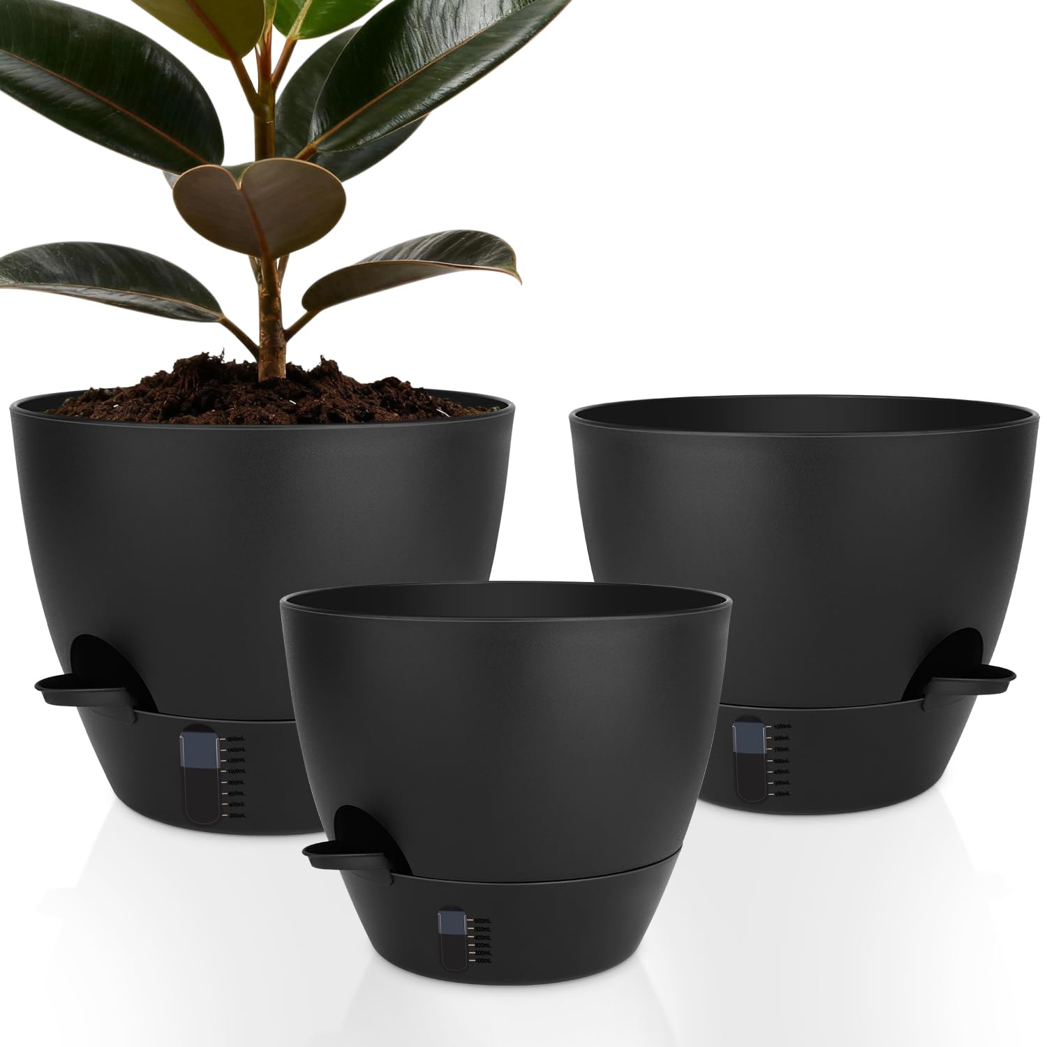 QRRICA 12-inch self-watering pot shows water level indicator for consistent moisture.