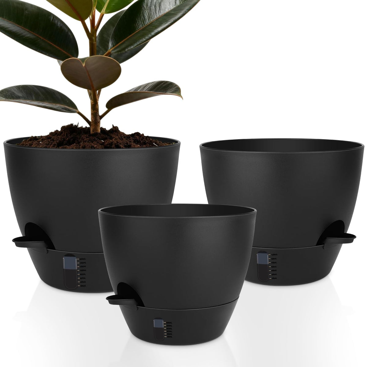 QRRICA 12-inch self-watering pot shows water level indicator for consistent moisture.