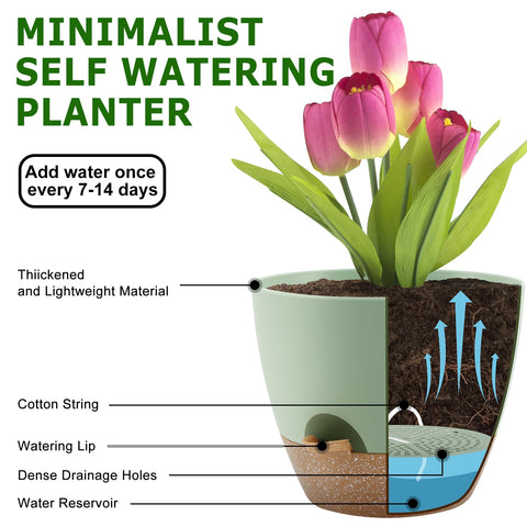 QRRICA drainage holes and separate reservoir prevent overwatering