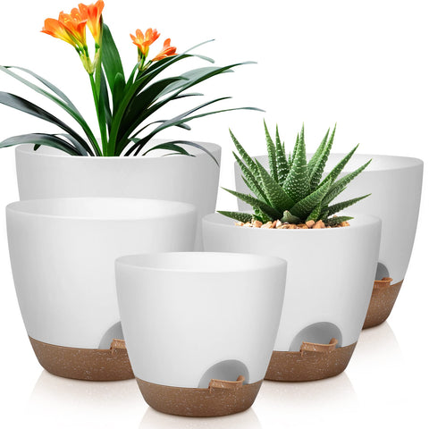 QRRICA self-watering pot 10-inch front view for balanced moisture and thriving indoor plants.