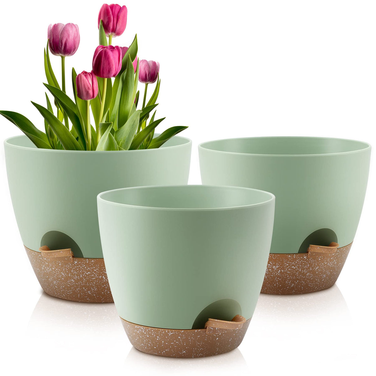 QRRICA 10-inch self-watering pot with removable feeder for balanced hydration.