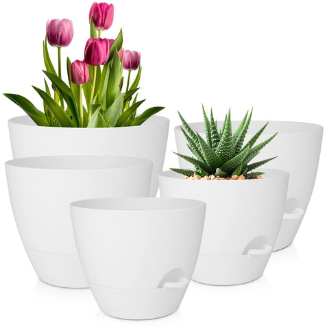 QRRICA 10 inch self-watering pot with drainage and saucer supports healthy indoor plants.