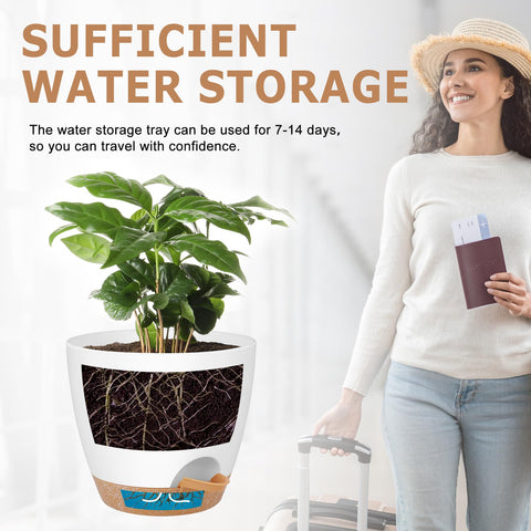 QRRICA 5.5-inch pot with saucer helps prevent spills on desks.