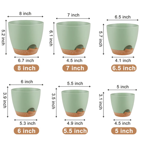 QRRICA 6.5-inch self-watering pot with removable feeder.