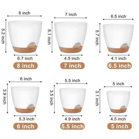 QRRICA 6.5-inch pot showcases modern matte finish for stylish indoor use.