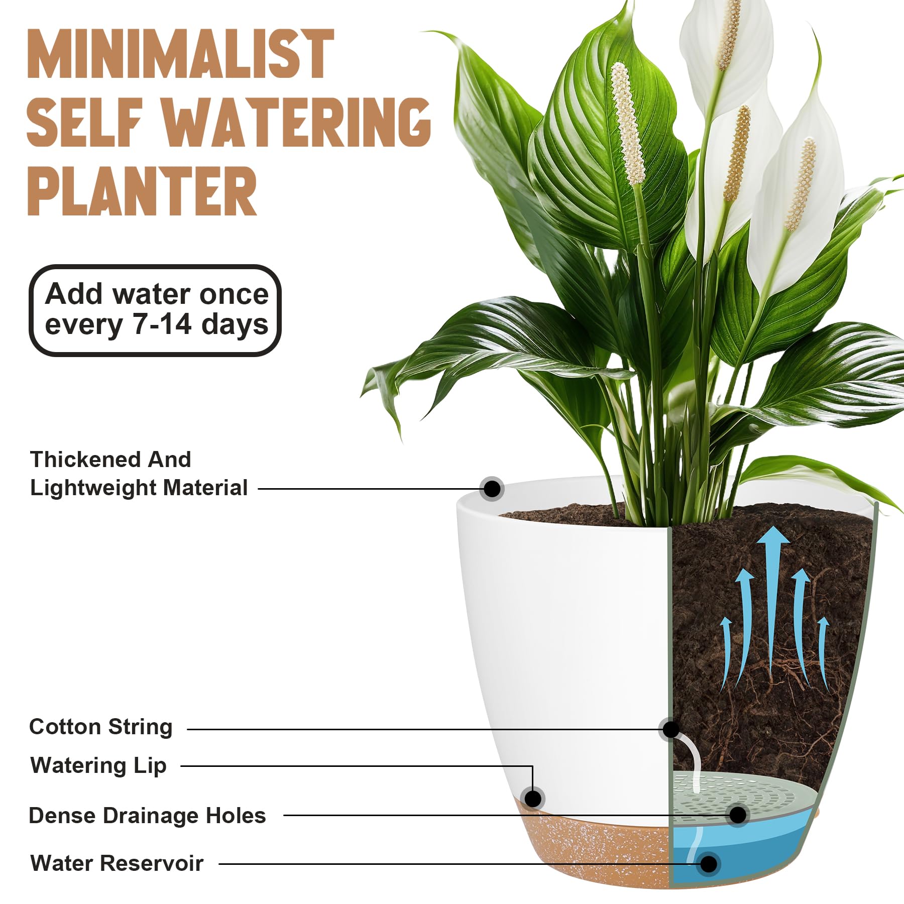 QRRICA 6-inch self-watering pot balances water and soil for plants.