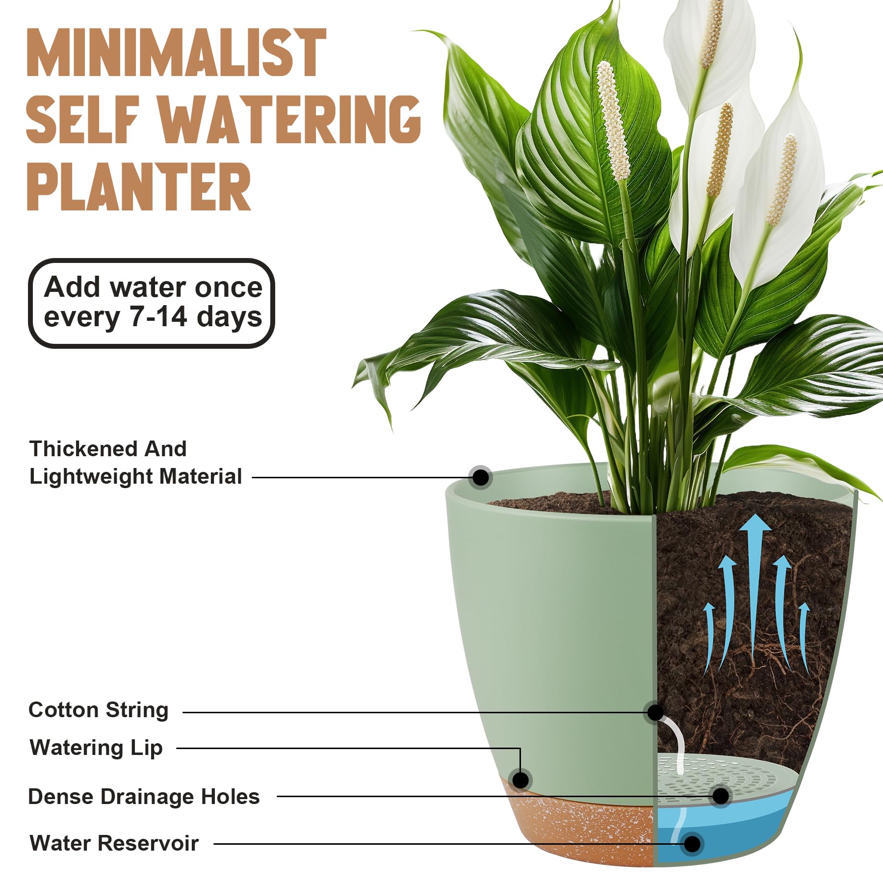 QRRICA 6-inch self-watering pot with mesh drainage.