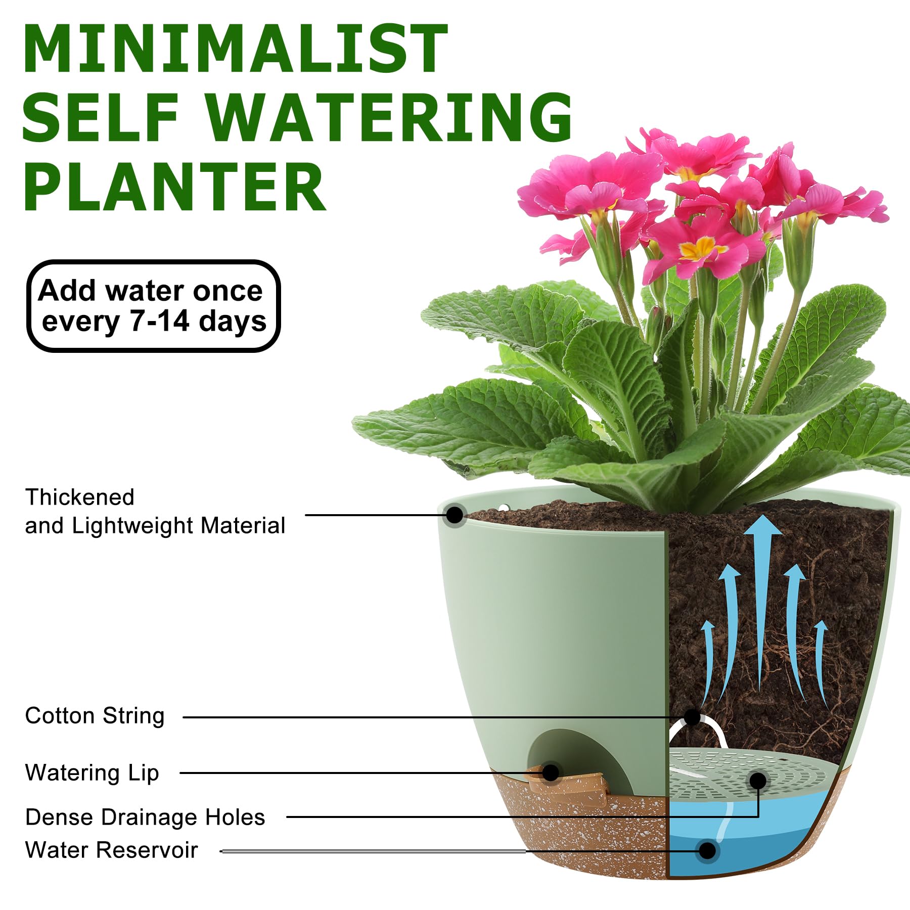 QRRICA 7.5-inch pot features removable watering system for easy care