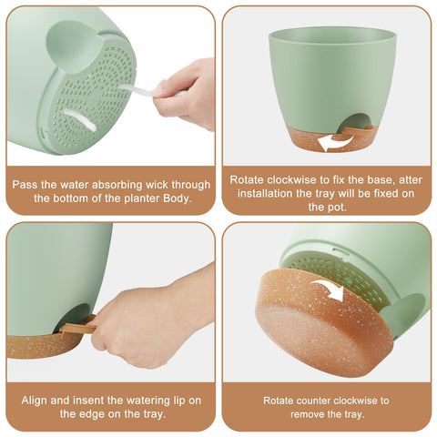 QRRICA 7-inch self-watering pot with reservoir for ongoing moisture.