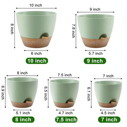 QRRICA 8-inch self-watering pot with saucer supports healthy moisture