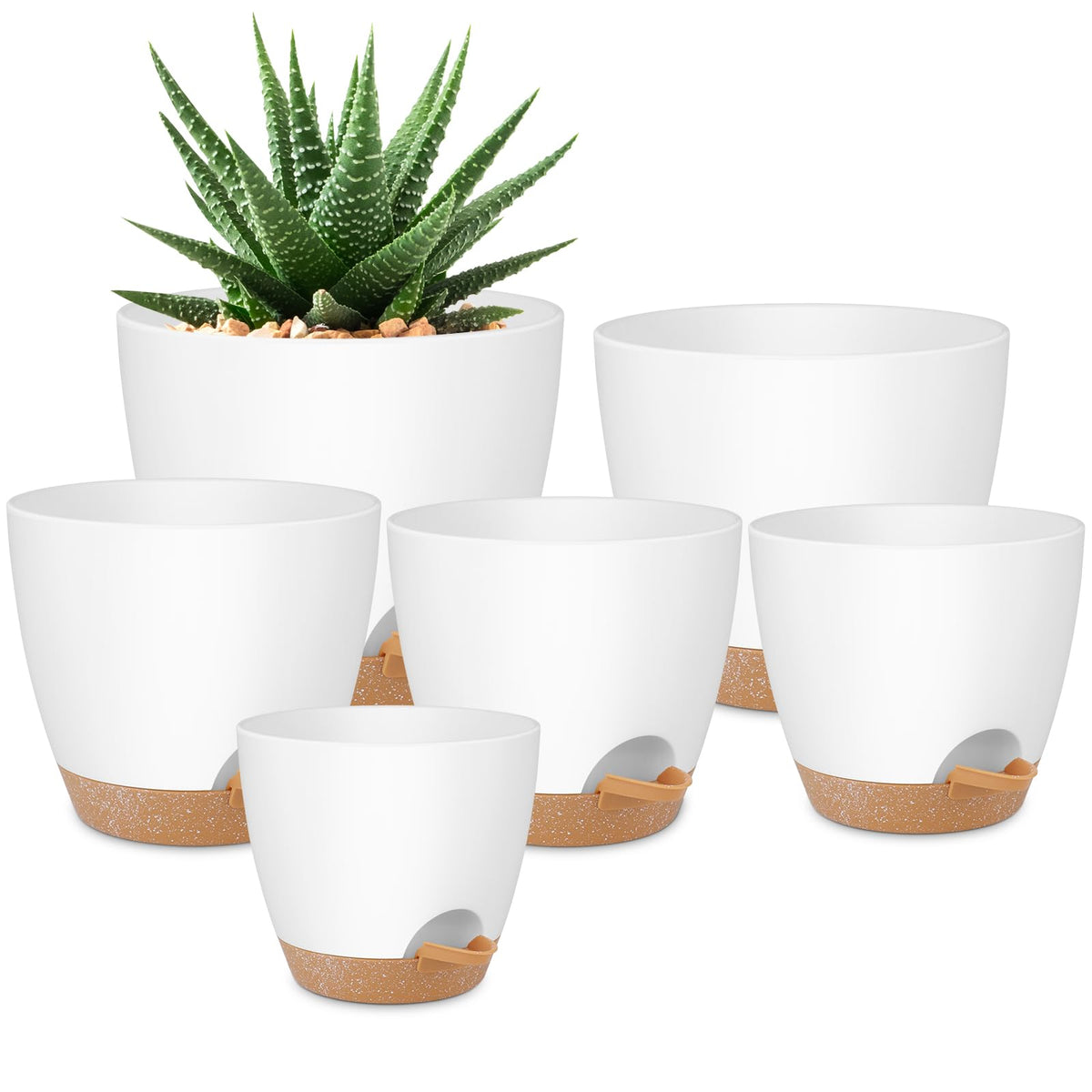 QRRICA self-watering pot 8-inch promotes healthy indoor moisture balance.