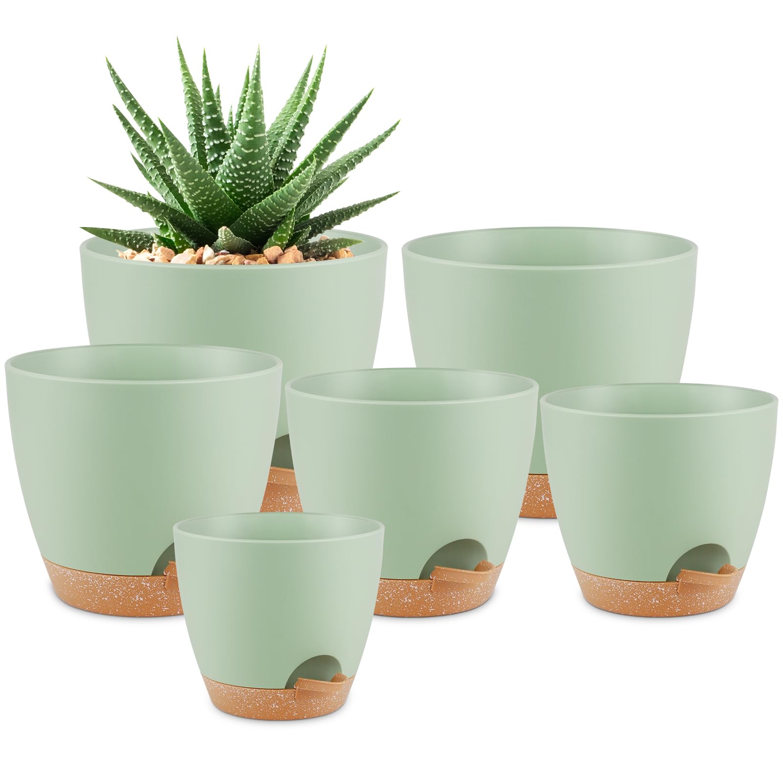 QRRICA 8-inch self-watering pot with drainage and saucer for indoor plants.