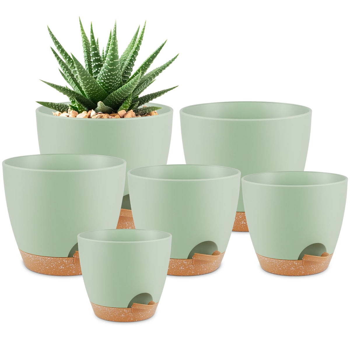 QRRICA 8-inch self-watering pot with drainage and saucer for indoor plants.