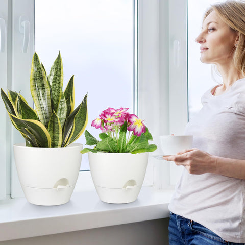QRRICA 9inch white top view showcases compact plant arrangement.
