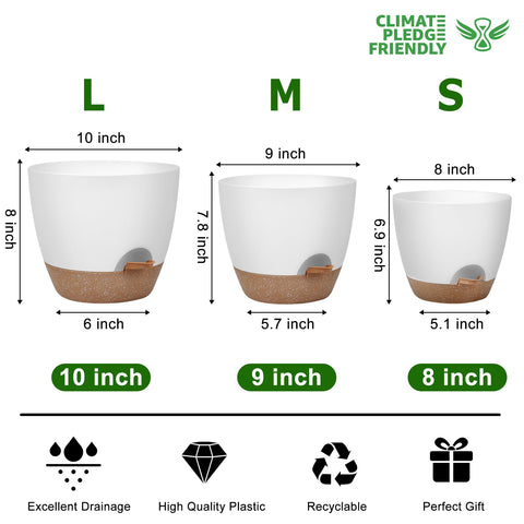 QRRICA 8-inch self-watering pot ideal for small plants and blooms.