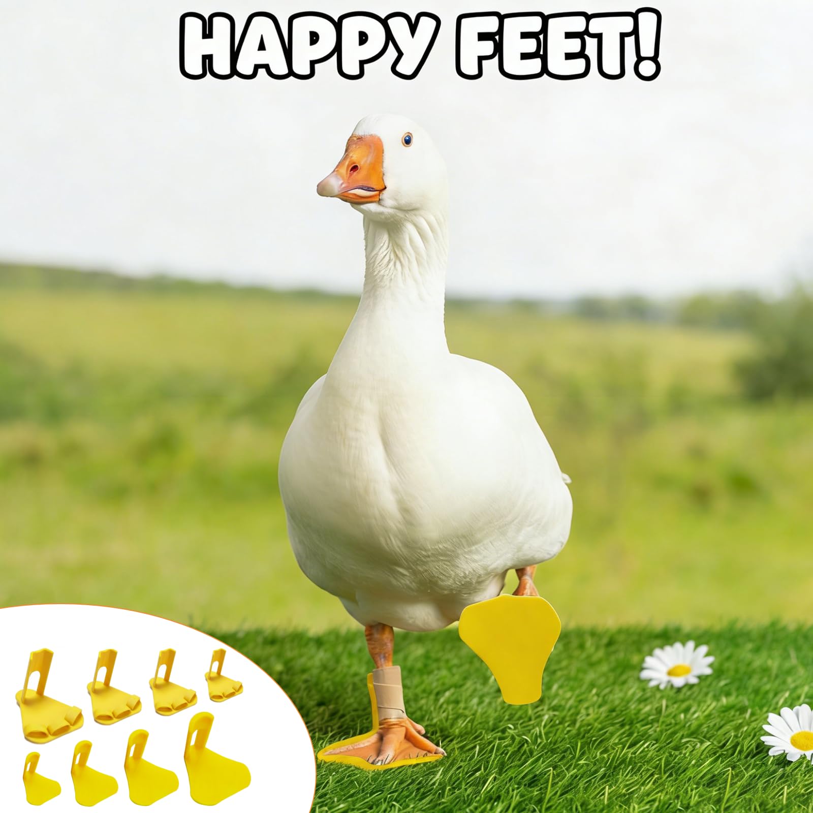 Qtaikong 8-piece splint kit eases treatment across the flock.