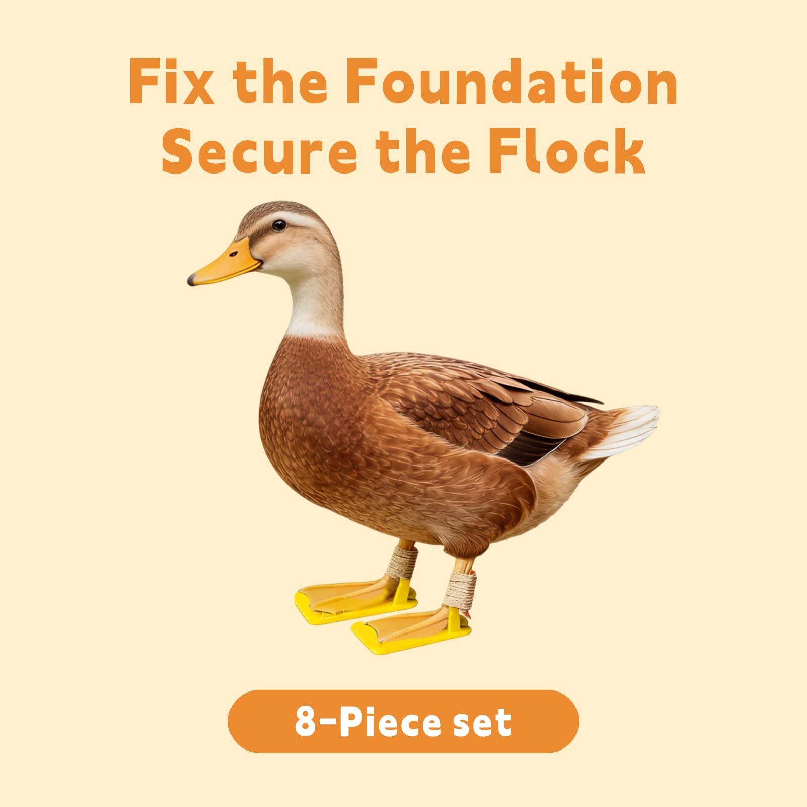 Qtaikong all-growth-stages care kit fits chicks to adults.