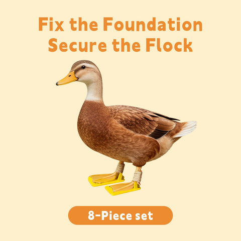 Qtaikong all-growth-stages care kit fits chicks to adults.