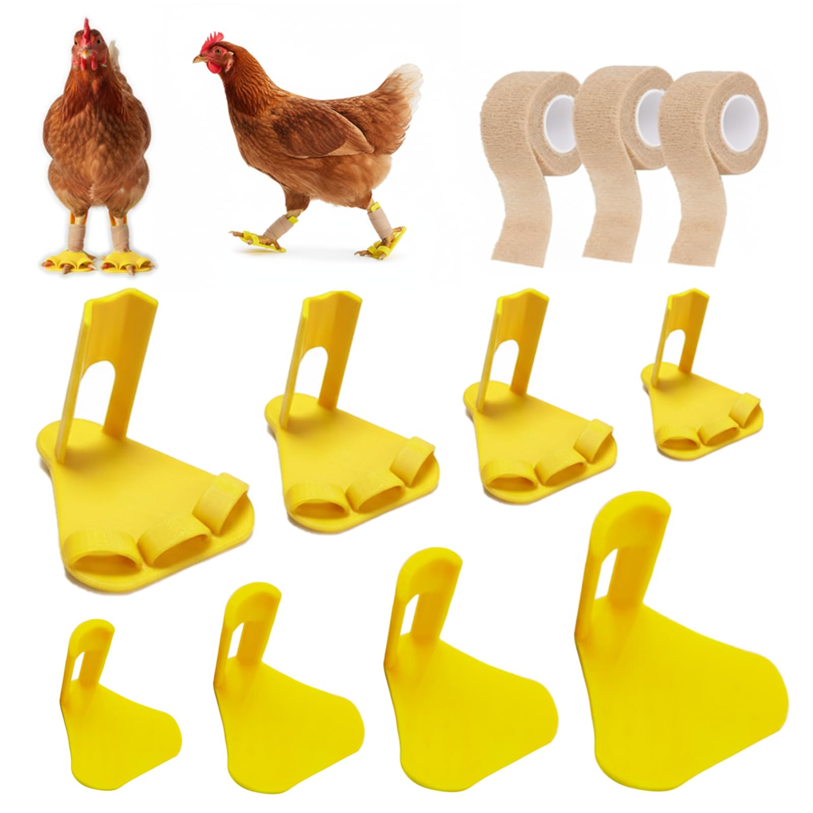 Qtaikong chicken leg splint with toe separator supports healing and safe immobilization.