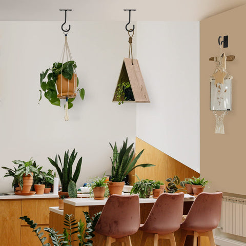 QTJUST wall-mount plant hook secures planters on walls or fences.