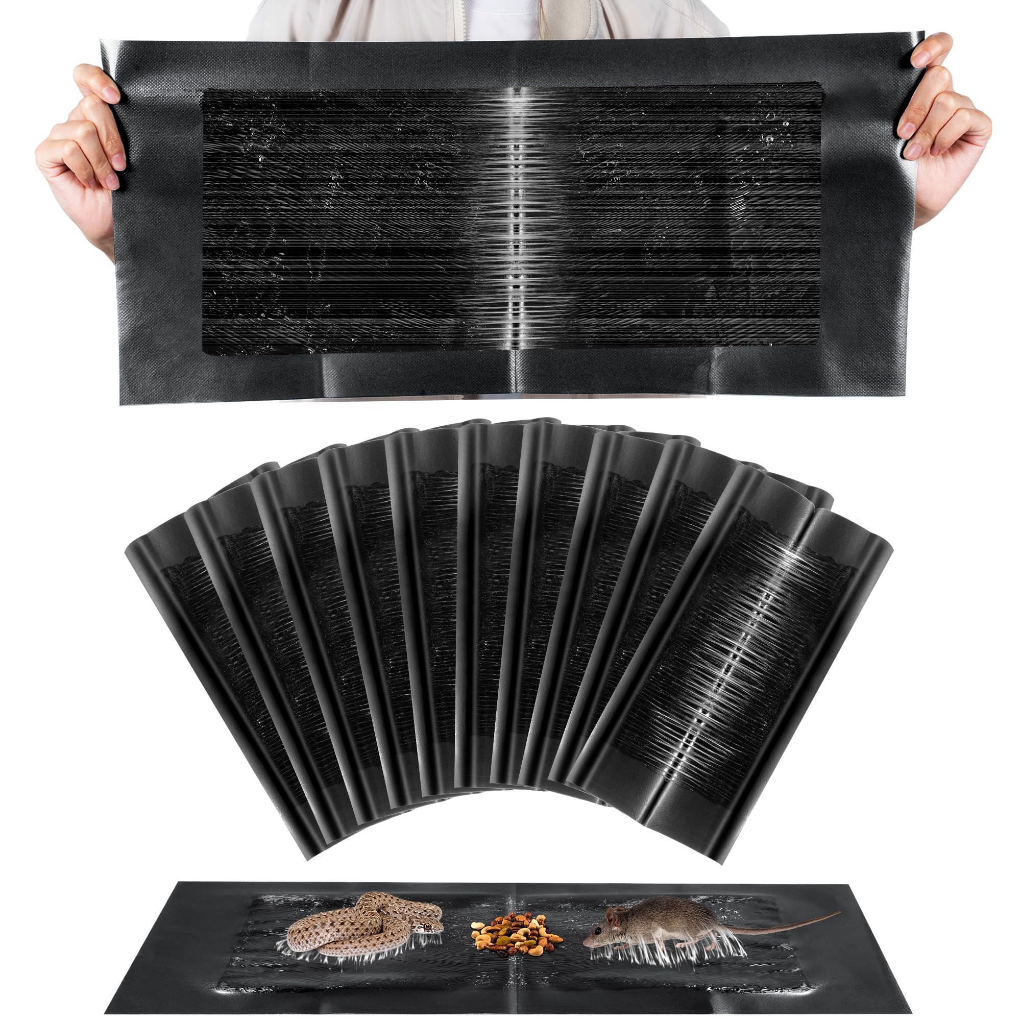 Qualirey 10-pack glue traps shown in a wide shot for versatile indoor placement.