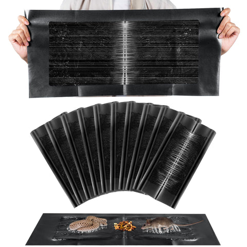 Qualirey 10-pack glue traps shown in a wide shot for versatile indoor placement.