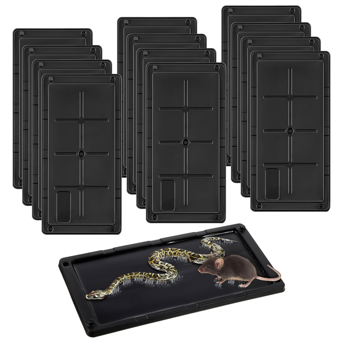 Qualirey 12-pack glue traps ready to use for indoor rodent control.