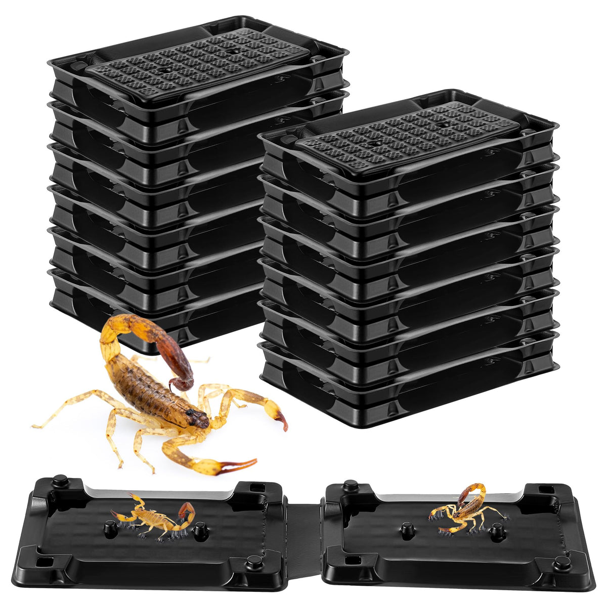 Qualirey 12-pack scorpion glue tray traps placed in cabinet corner for pet-safe pest control.
