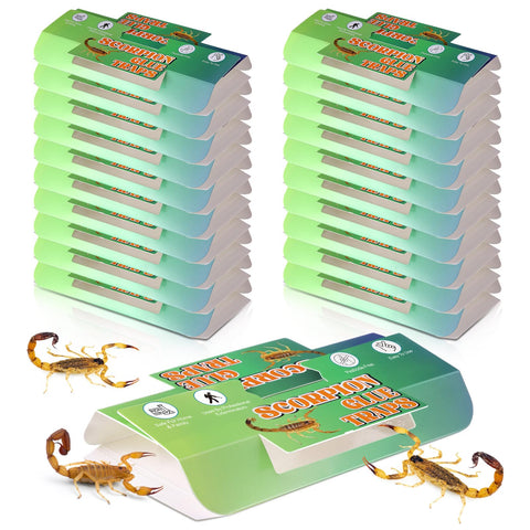 Qualirey 20-pack scorpion glue traps with multi-entry design for higher catch rates.