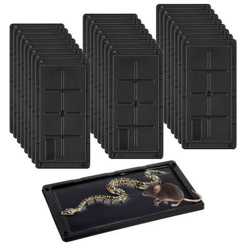 Qualirey 24-pack glue traps pack shot for quick, ready-to-use pest control.
