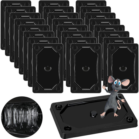 Qualirey 24-piece glue traps laid out for home pest control