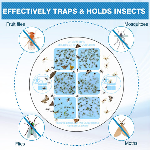 Qualirey 30-pack glue boards provide long-term trapping solution.