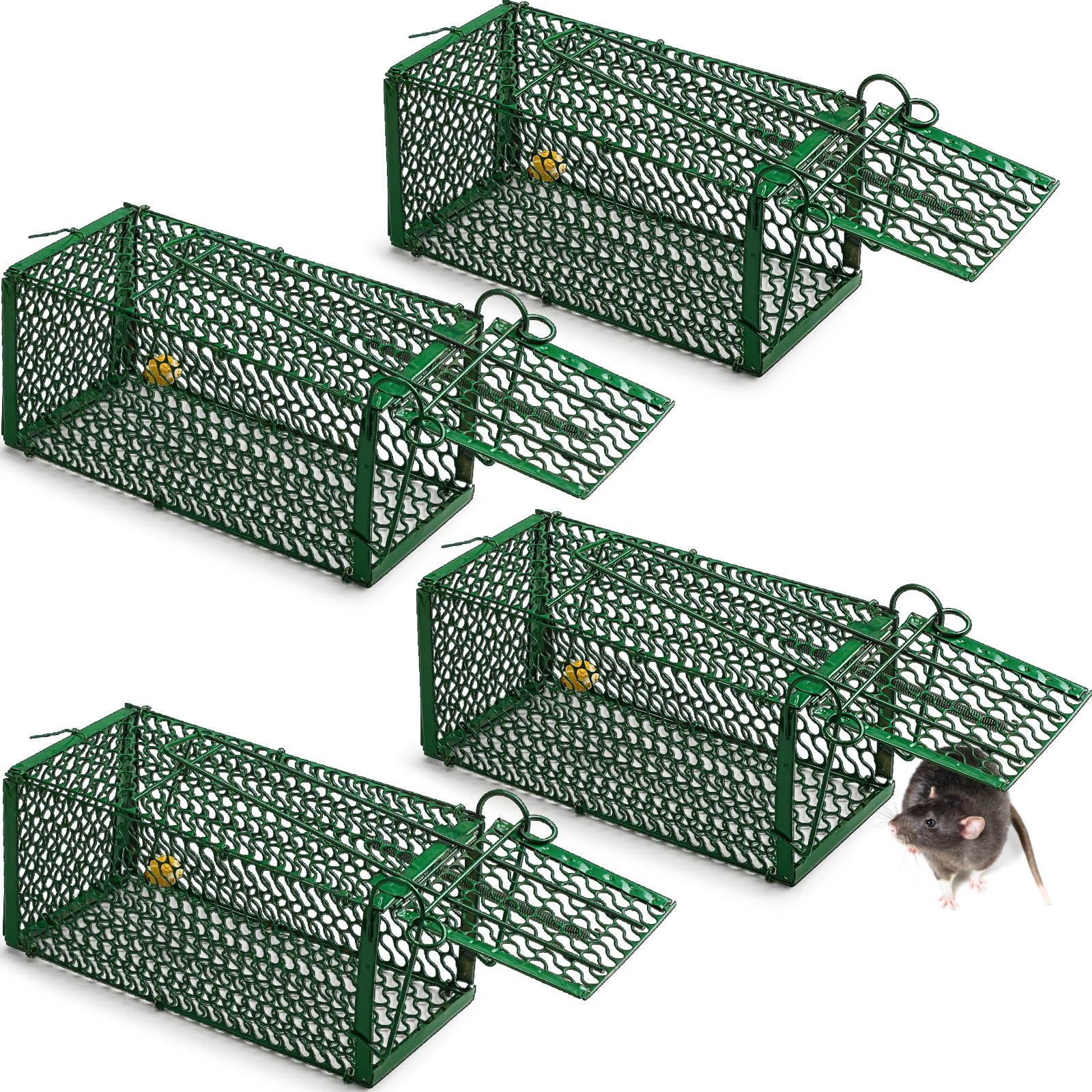 Qualirey 4-piece humane rat trap, front view, portable and ready for catch-and-release.