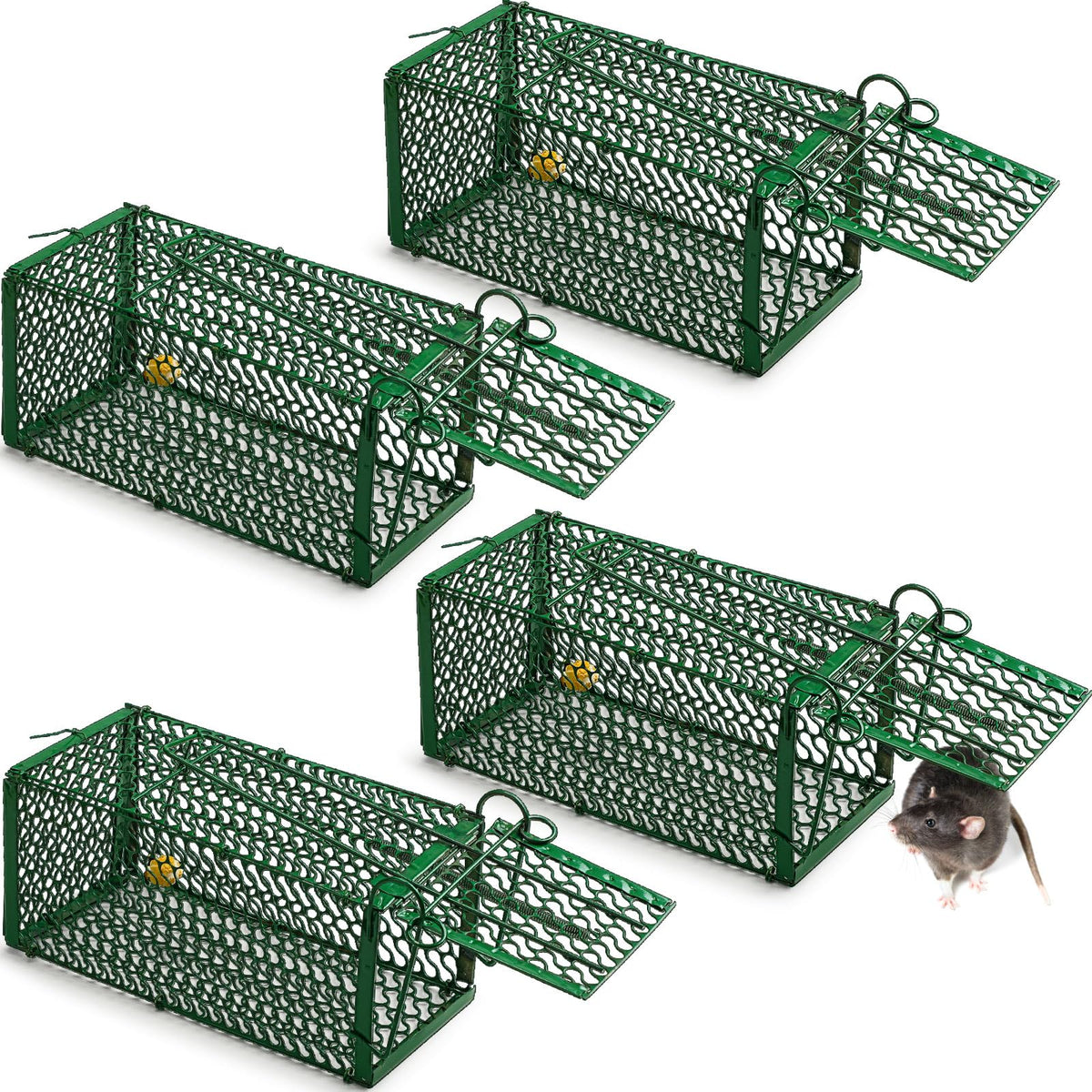 Qualirey 4-piece humane rat trap, front view, portable and ready for catch-and-release.