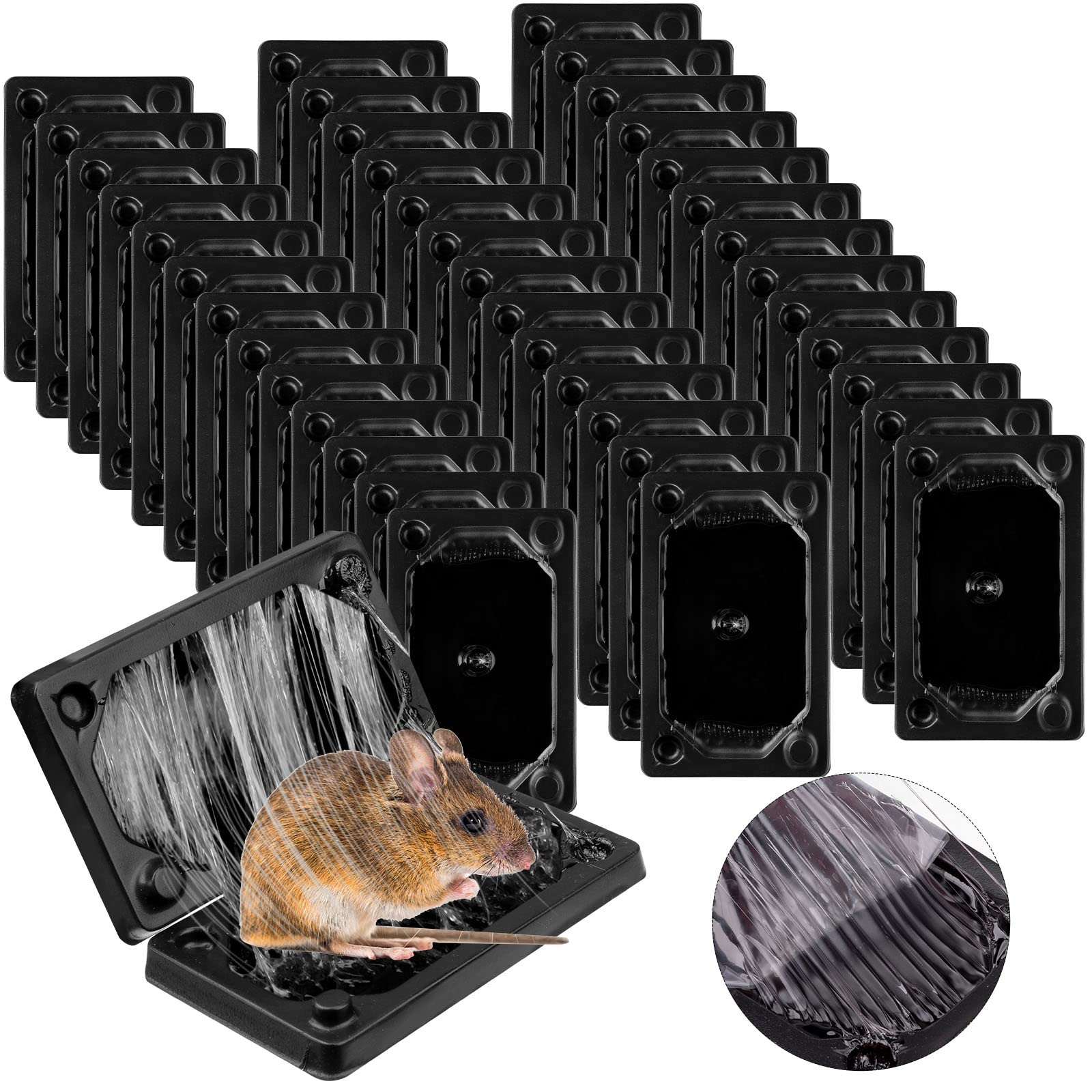 Qualirey 40-pc baited mouse glue traps seen indoors for efficient mice control