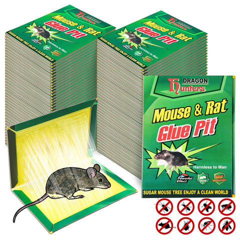 Qualirey mouse glue traps with large pads ideal for indoor and outdoor placement.