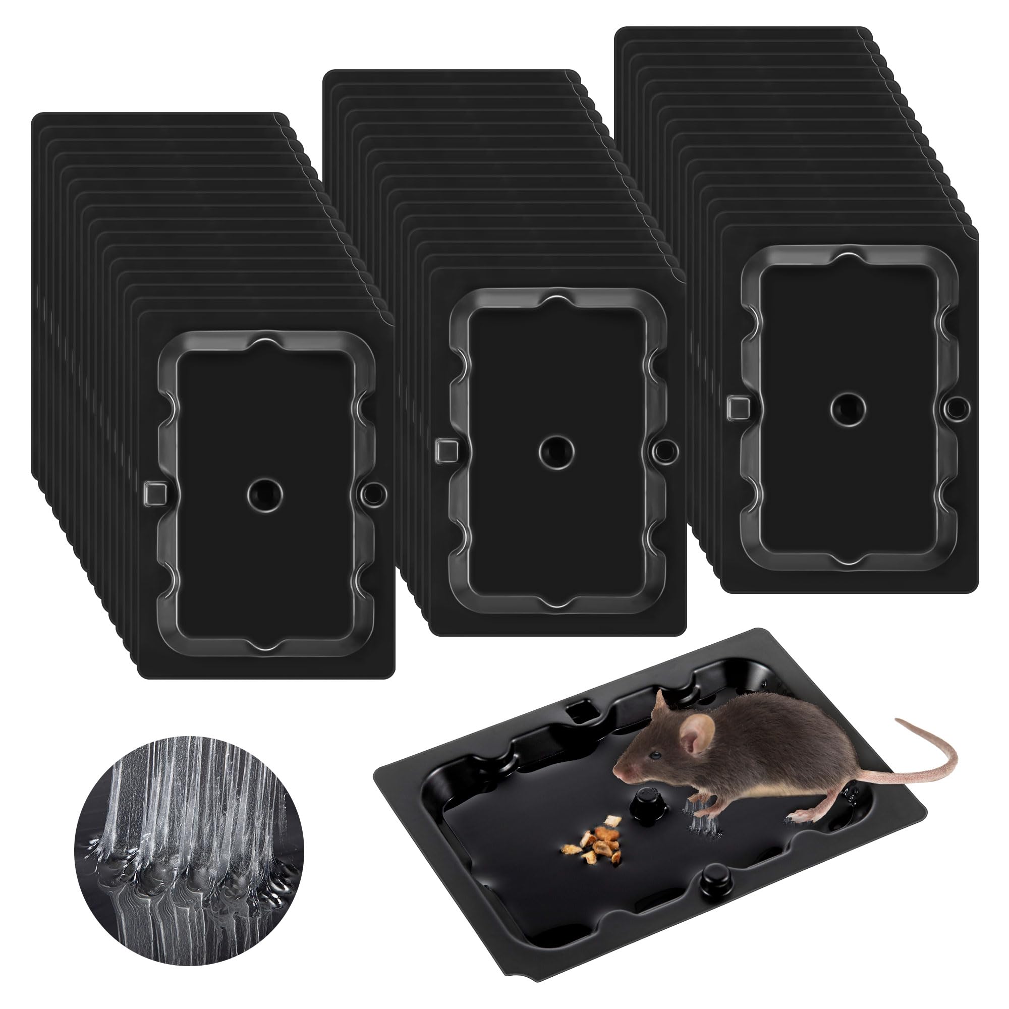 Qualirey 48-pack sticky mouse traps for safe indoor use around kitchens.