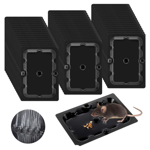 Qualirey 48-pack sticky mouse traps for safe indoor use around kitchens.