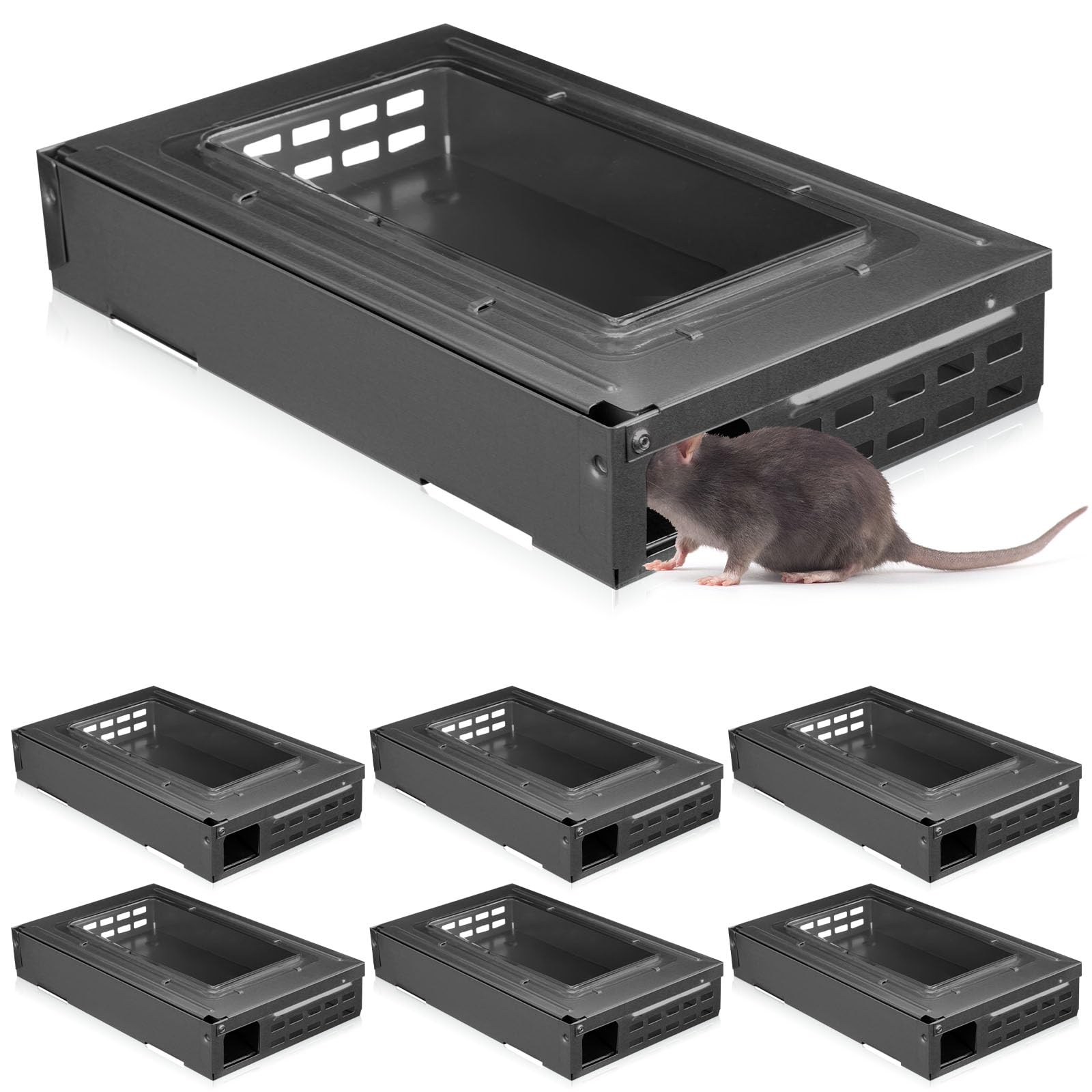 Qualirey 4 Pack multi catch mouse trap with clear top for live release.