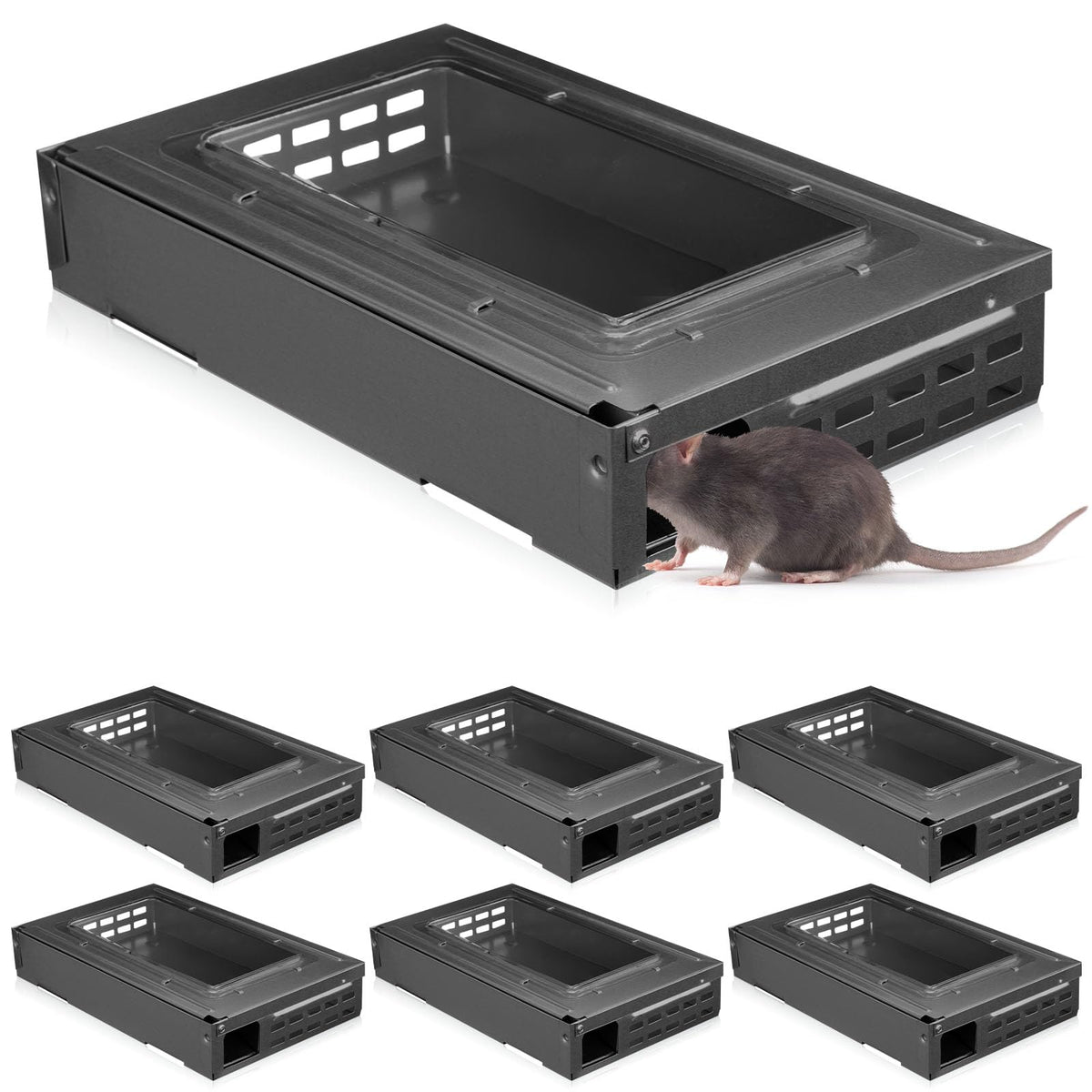 Qualirey 4 Pack multi catch mouse trap with clear top for live release.