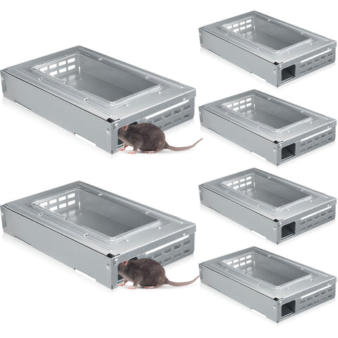 Qualirey 8-pack clear-top mouse traps for humane live capture and release