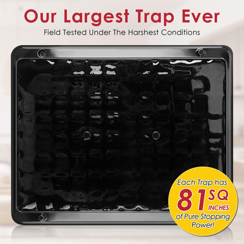 Qualirey 8-pack packaging in black emphasizes durability