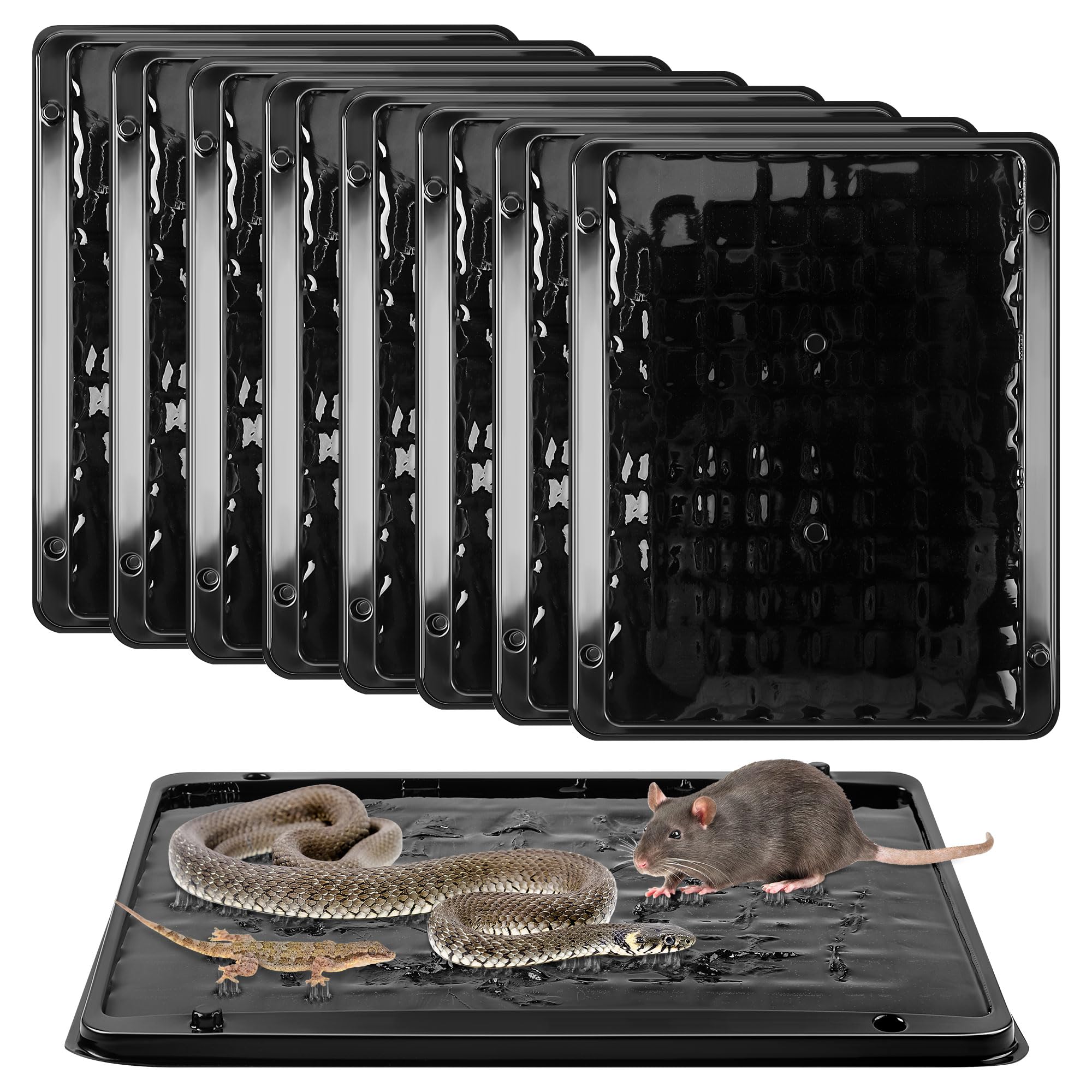 Qualirey jumbo rat glue trap front view with strong adhesive for indoor use