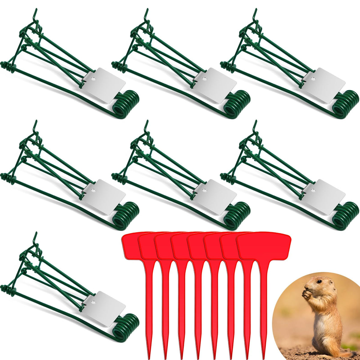 Qualirey eight-piece gopher trap kit ready for yard deployment.