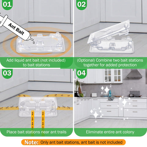 Qualirey indoor placement of stations near baseboards for ant activity