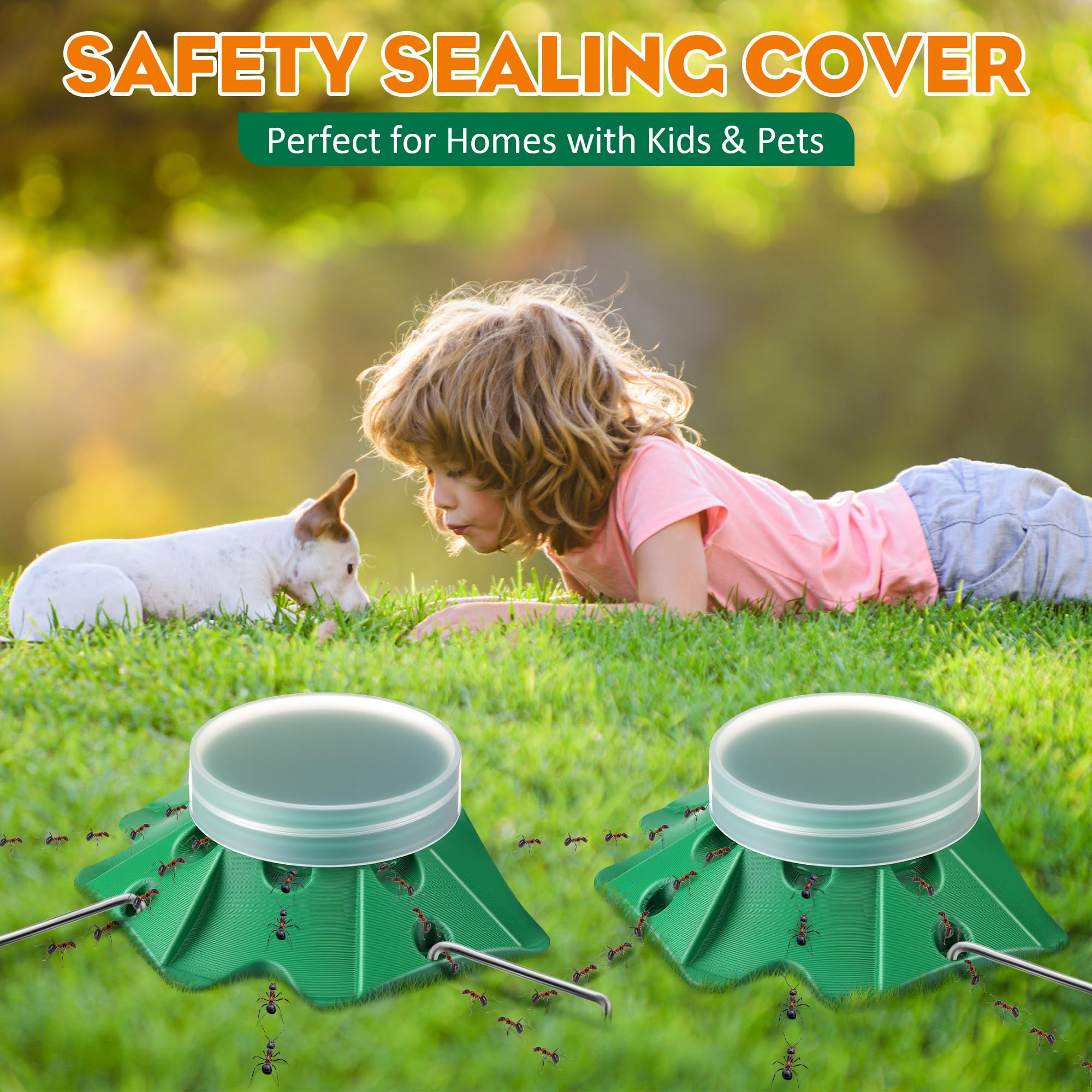 Qualirey ant traps with locking lid for pet-safe indoor placement.