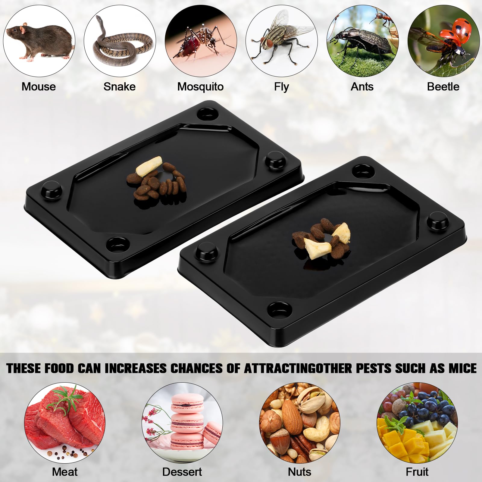 Qualirey baited traps ready to use help catch household pests