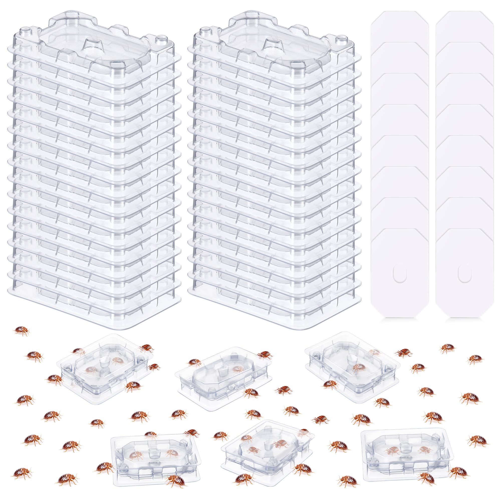 Qualirey bed bug detector trap under furniture enables discreet early monitoring.